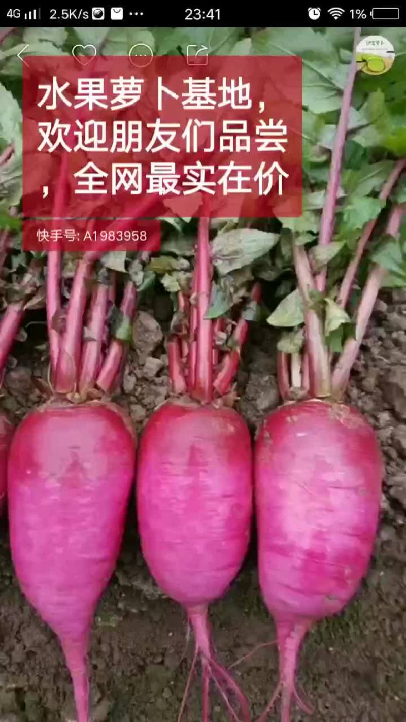 瓜果类