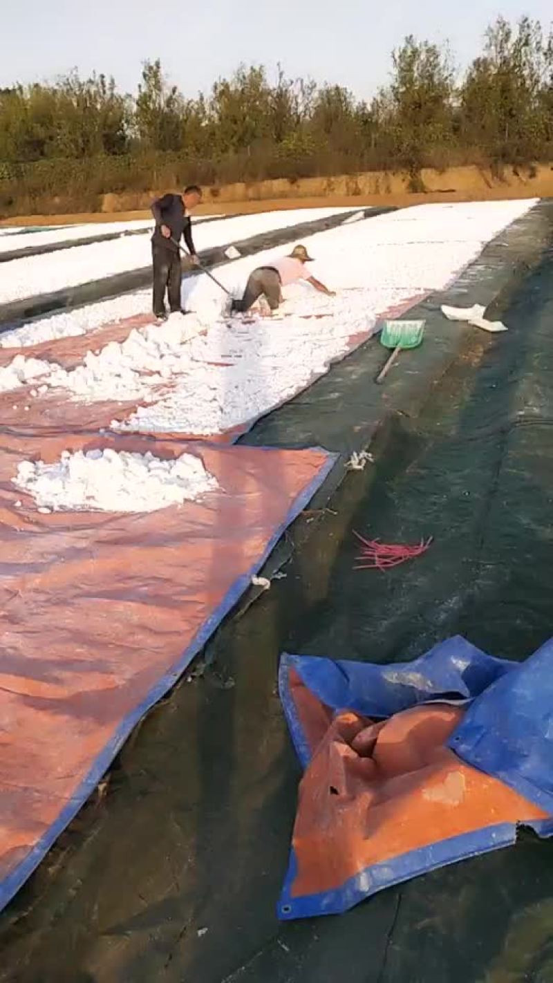 地瓜粉