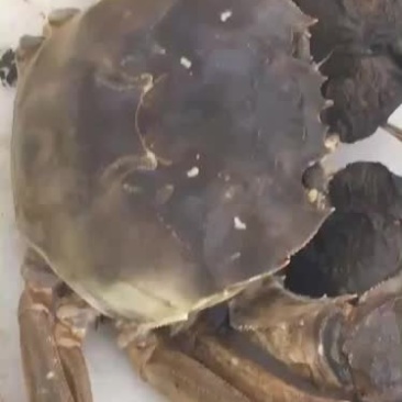 水产