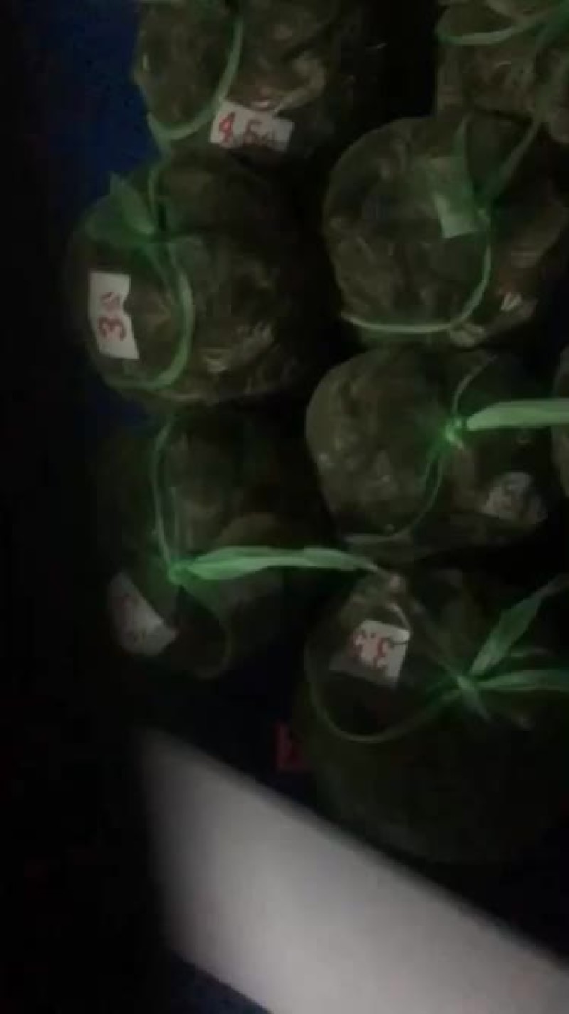 水产