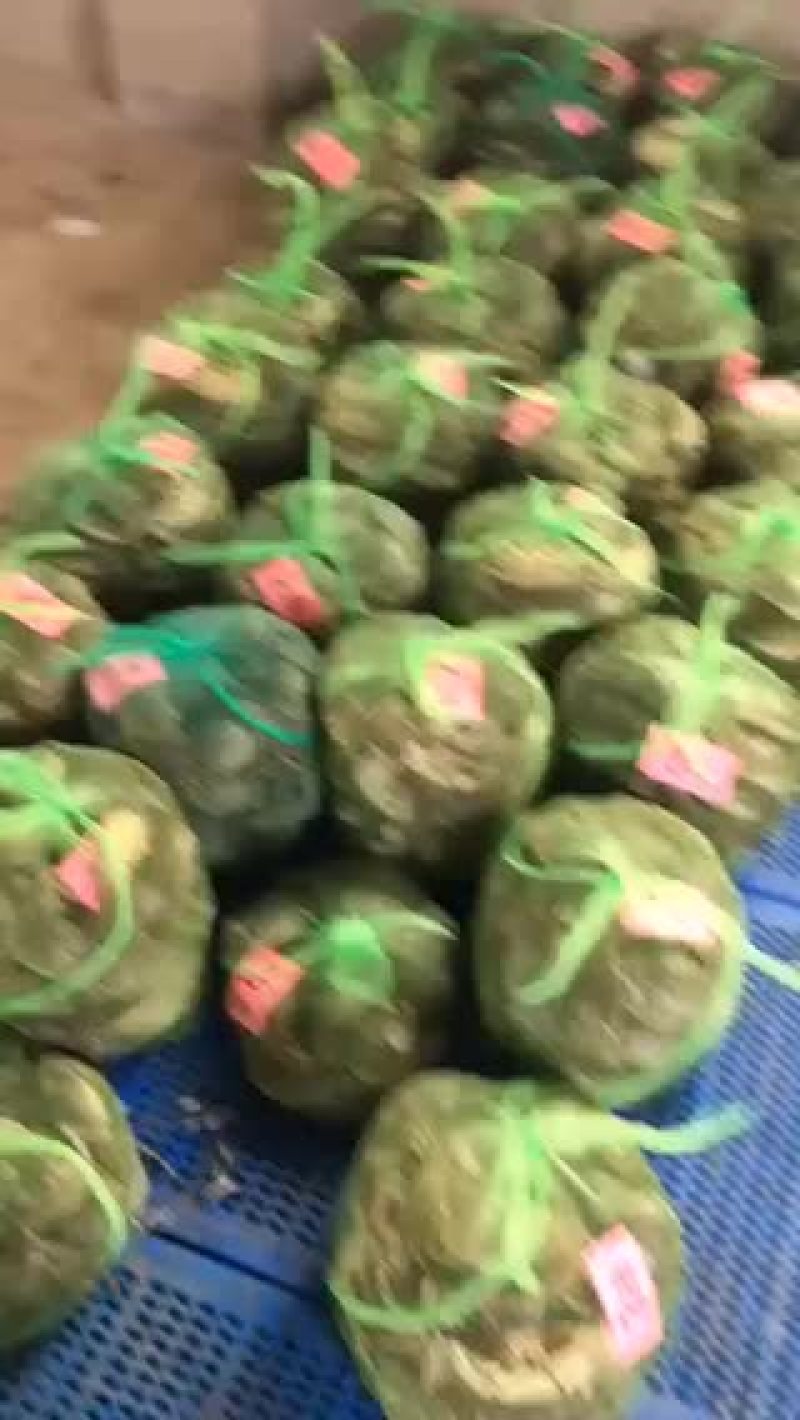 水产