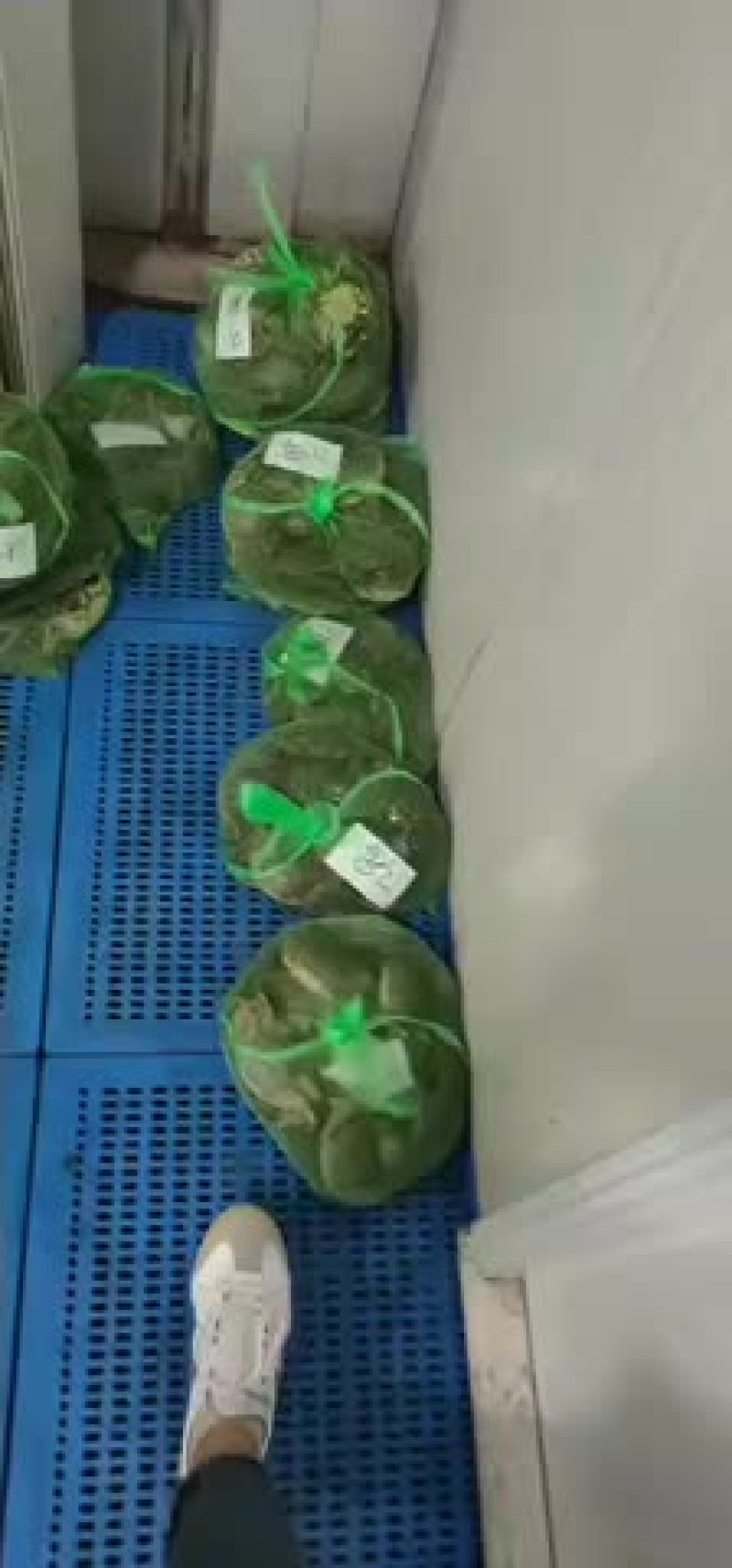 水产