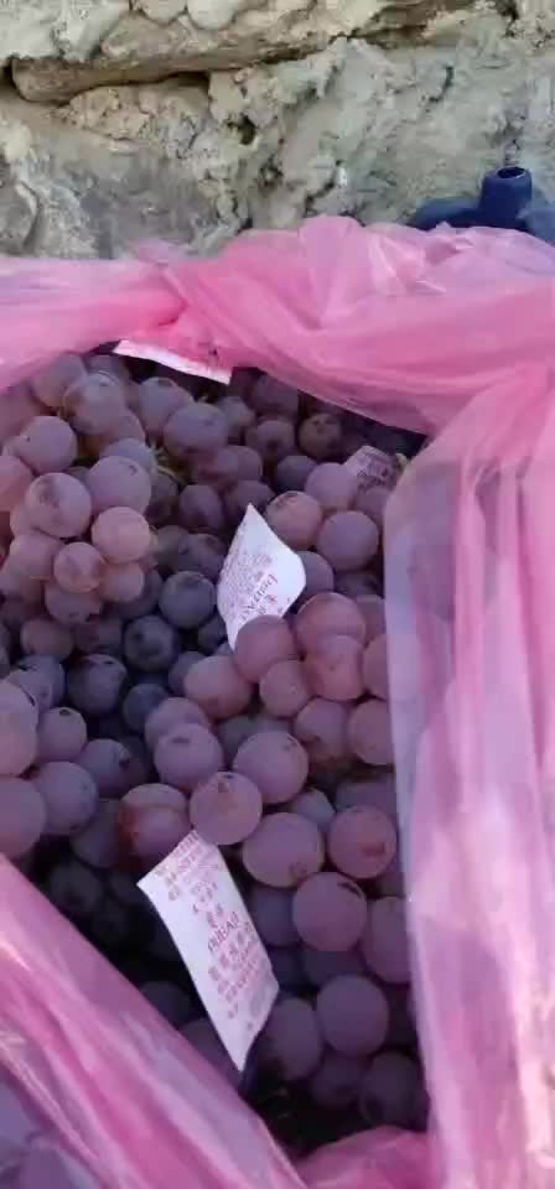 优质龙眼