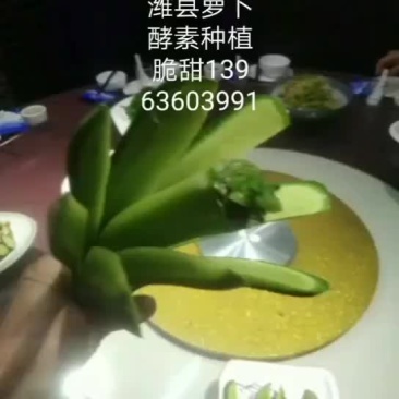 潍县萝卜，西瓜酵素种植