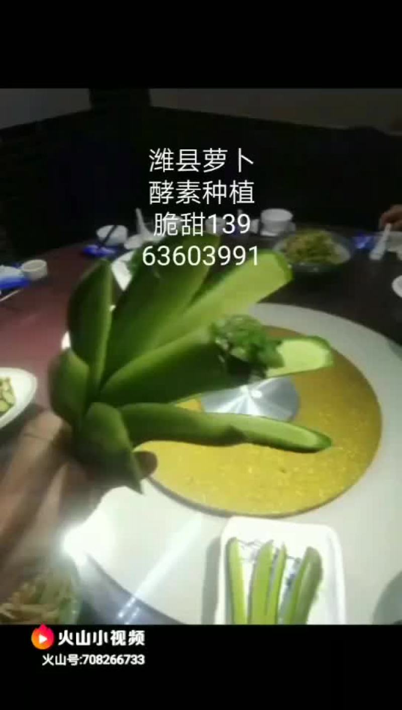 潍县萝卜，西瓜酵素种植