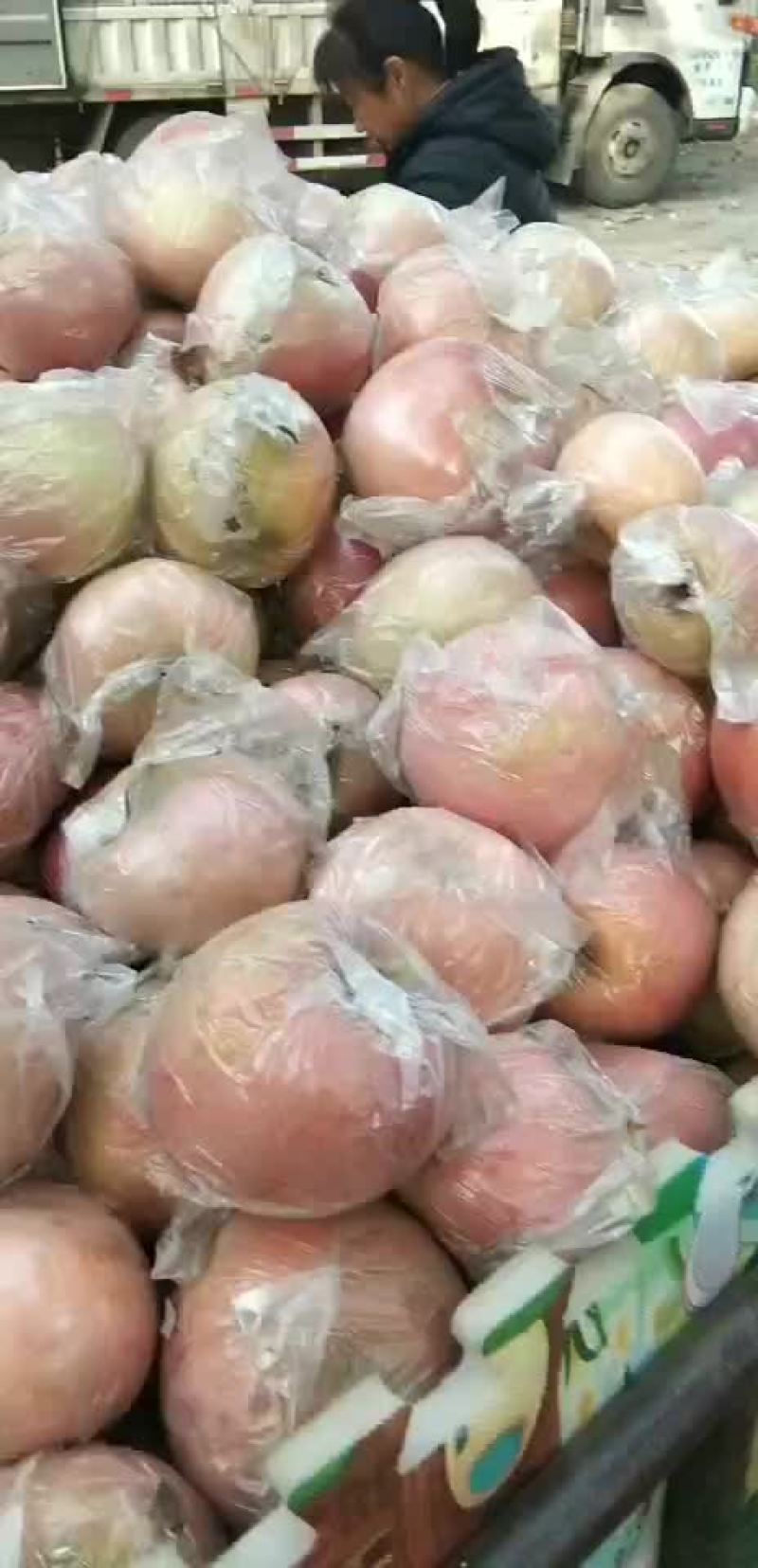 红富士平果太便宜了