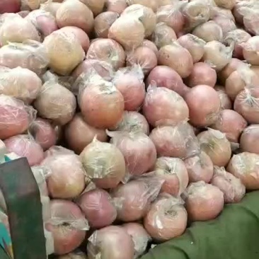 红富士平果太便宜了