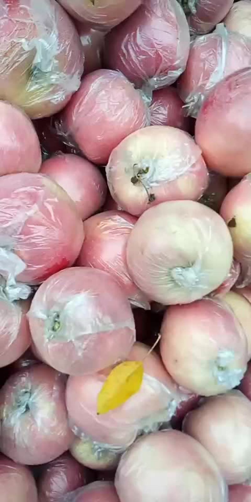 膜袋富士纸加膜富士大量有货