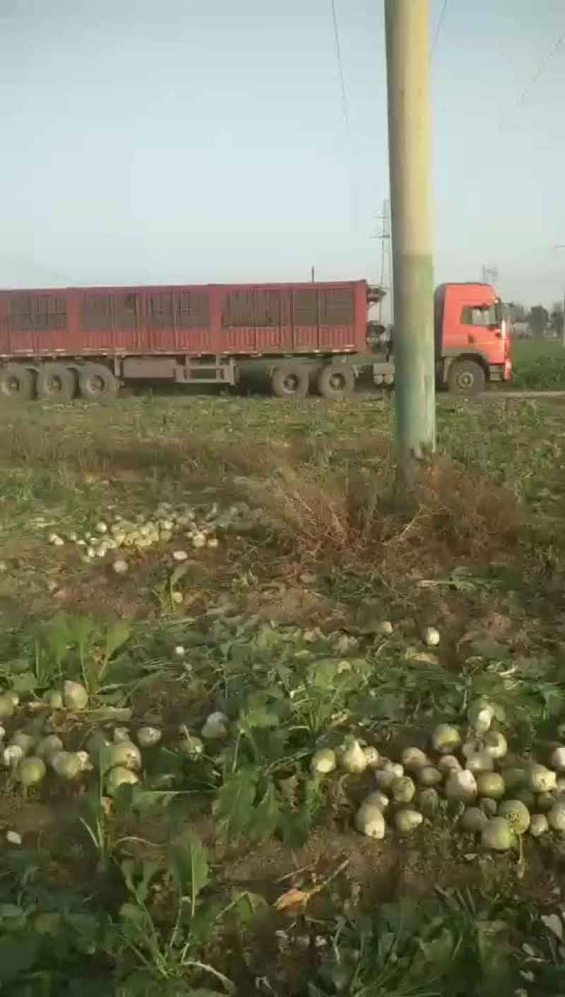 三两通货水洗货