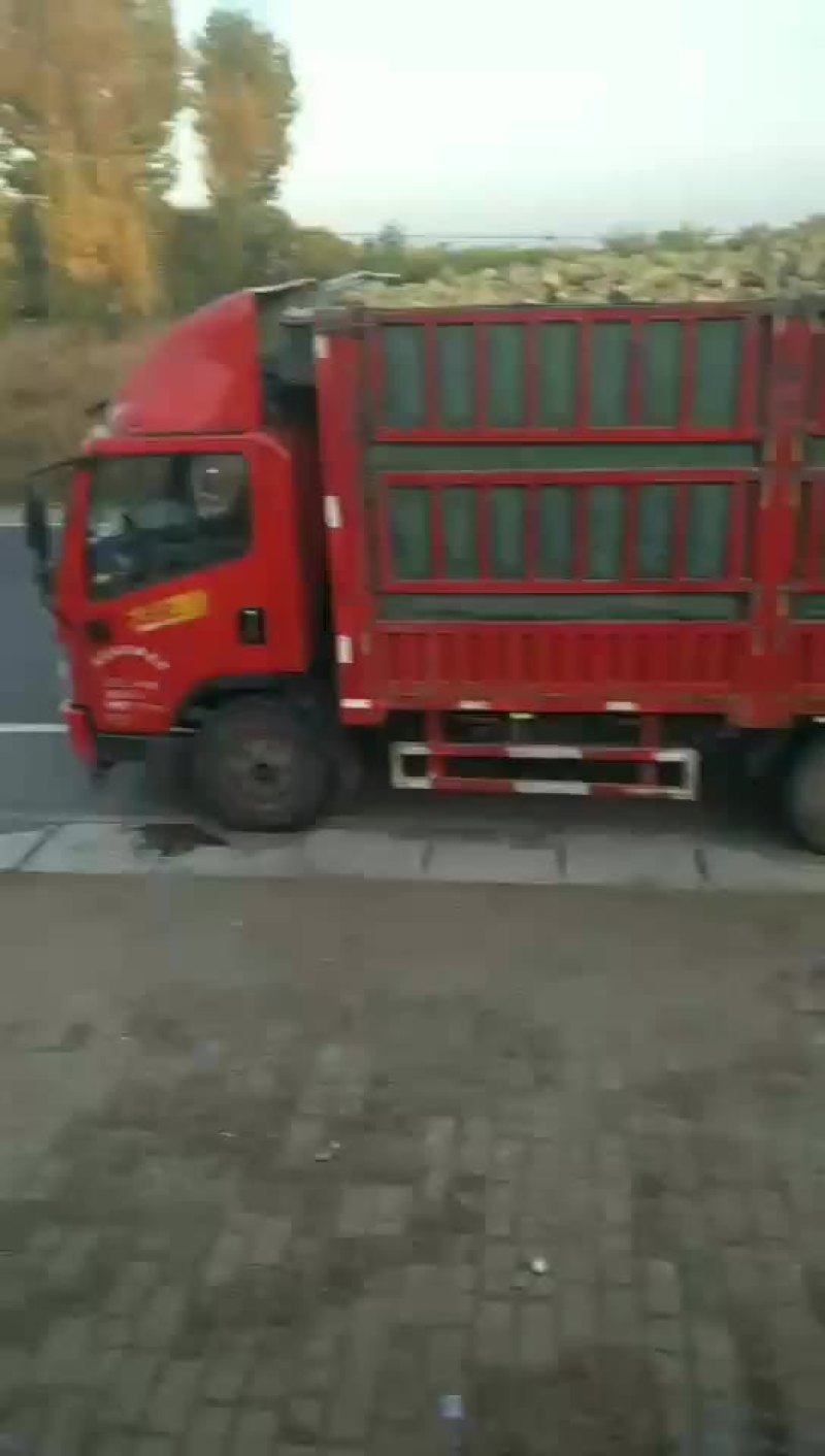 三两通货水洗货