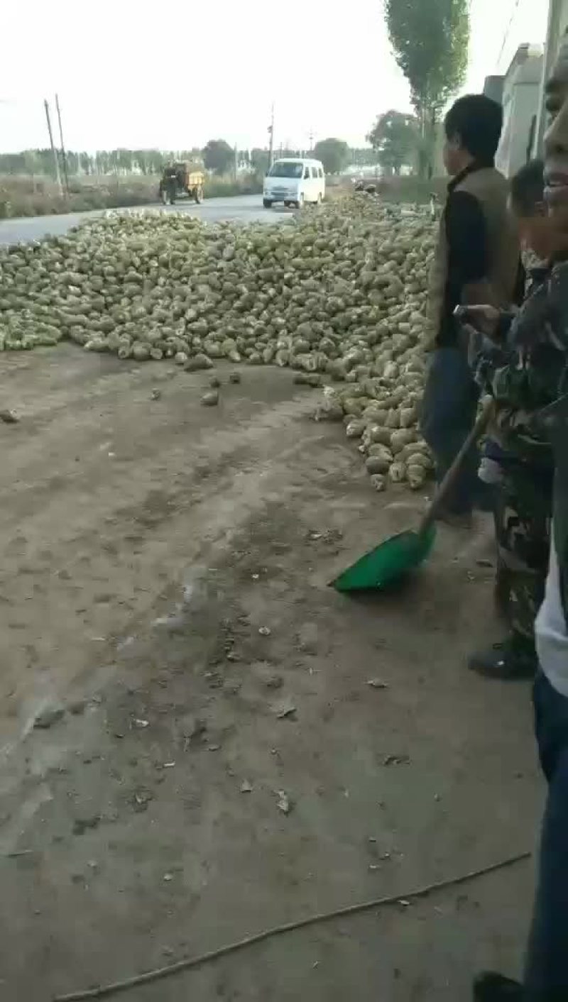 三两通货水洗货