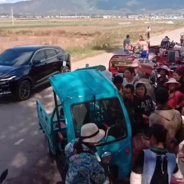 青豌豆