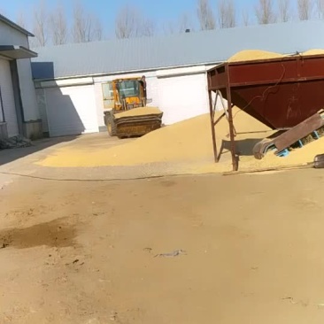 东北小粒香。各种优质稻谷原产地没有中间商。