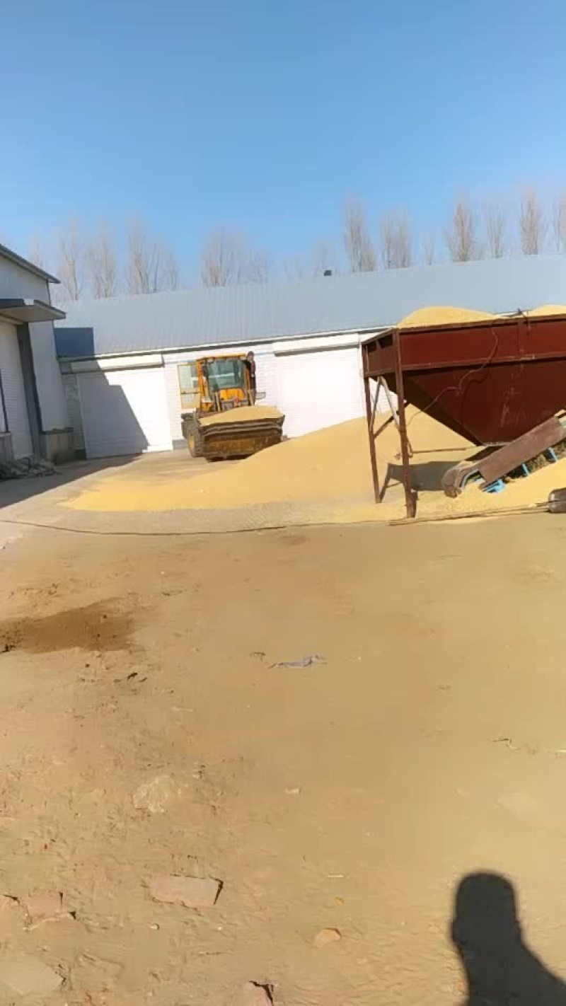东北小粒香。各种优质稻谷原产地没有中间商。