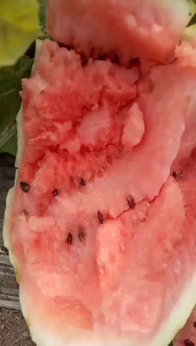 西瓜