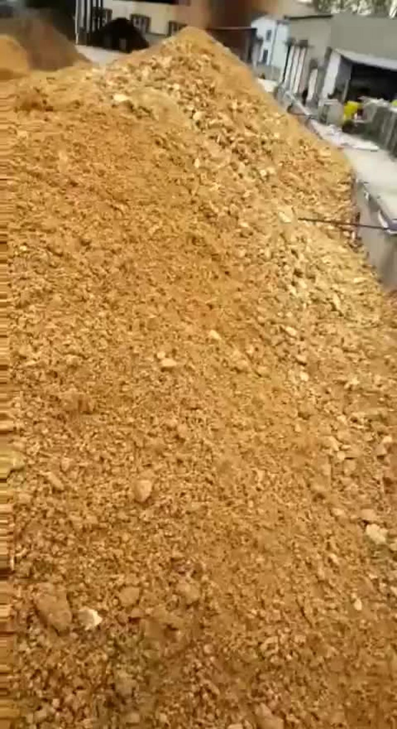 新鲜的金针菇下脚料菌渣