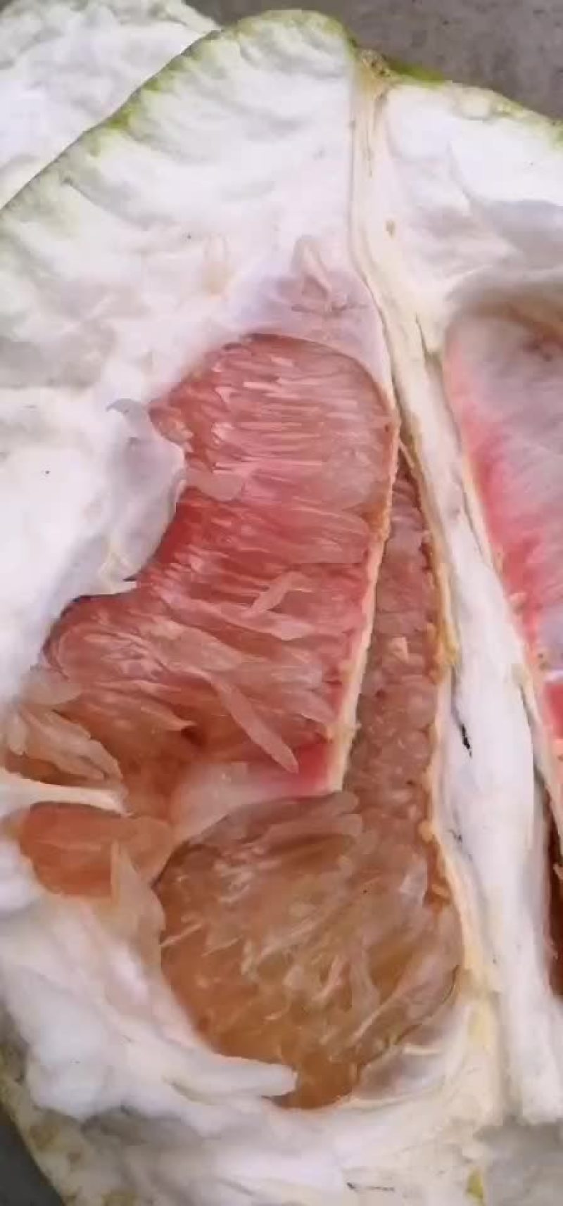 红心蜜柚