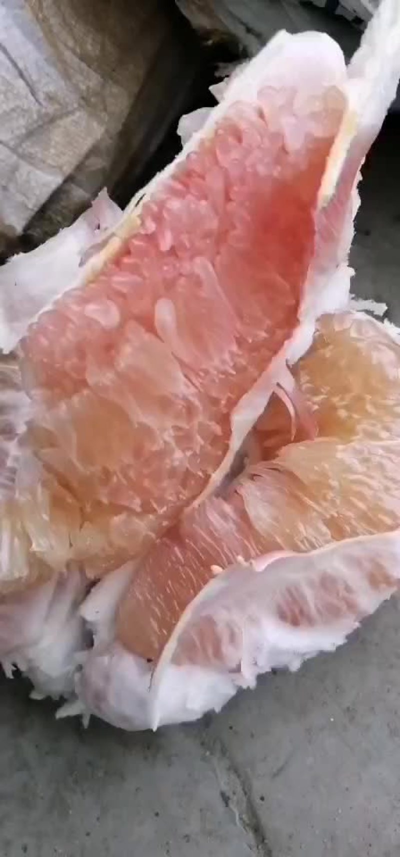 红心蜜柚