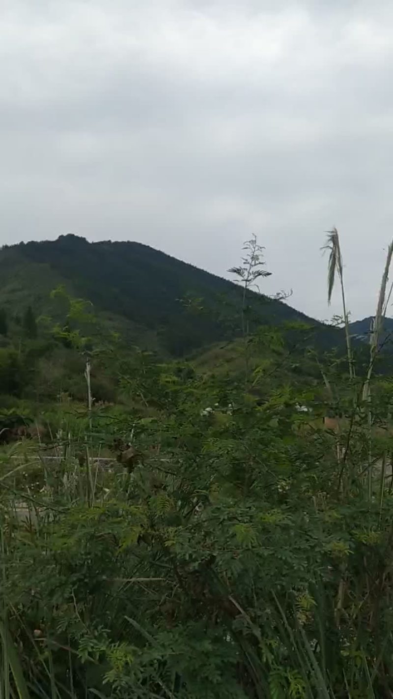 荒地出租