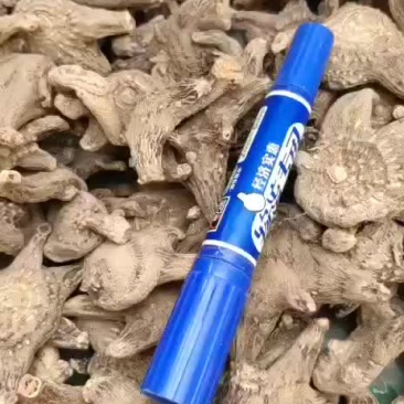 白芨