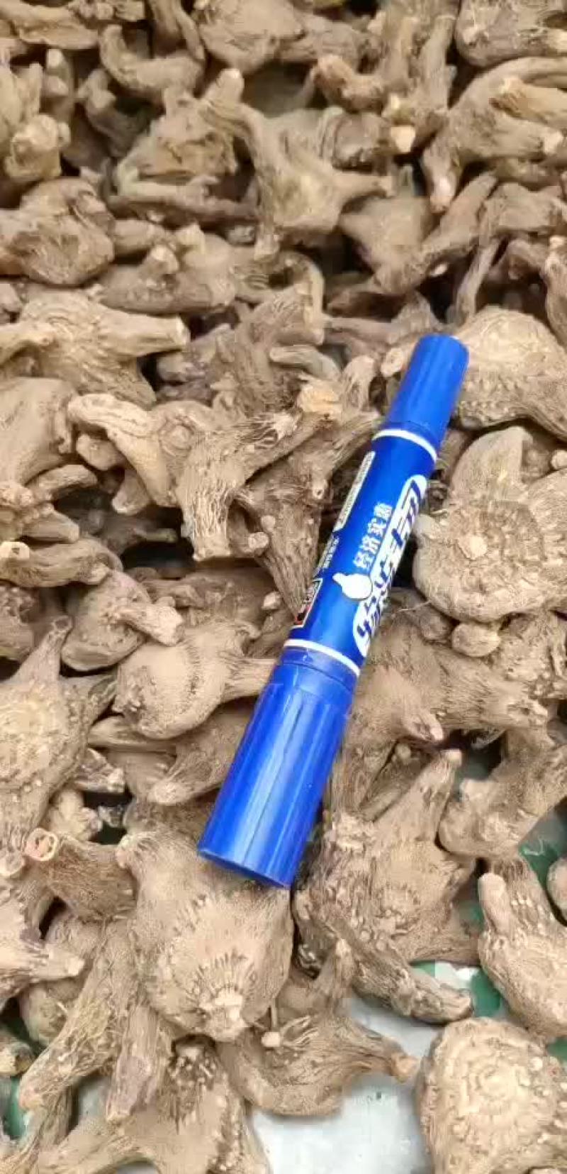 白芨