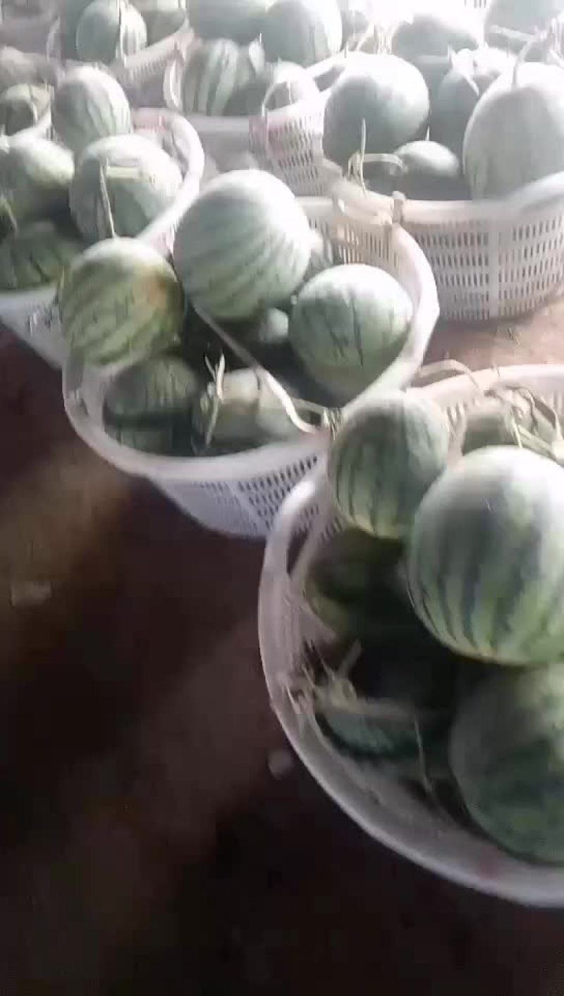 西瓜
