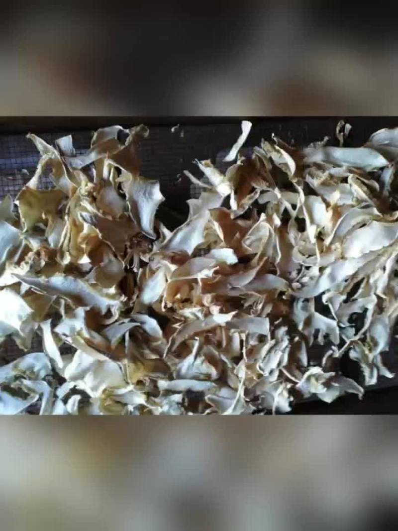老人头干片，