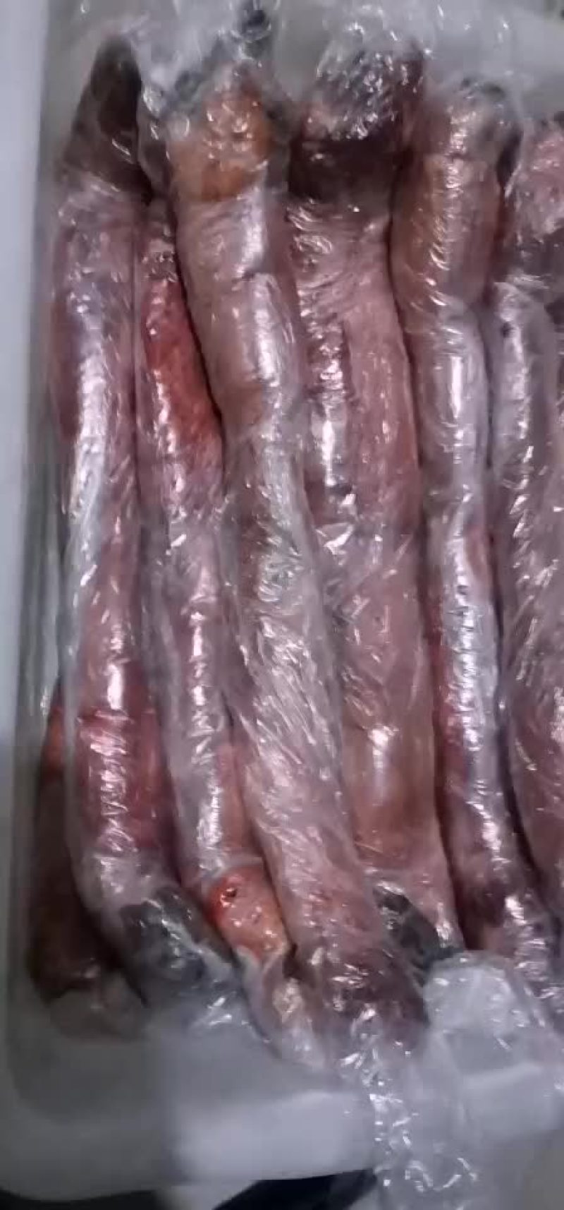 新疆新鲜免洗精修马鞭