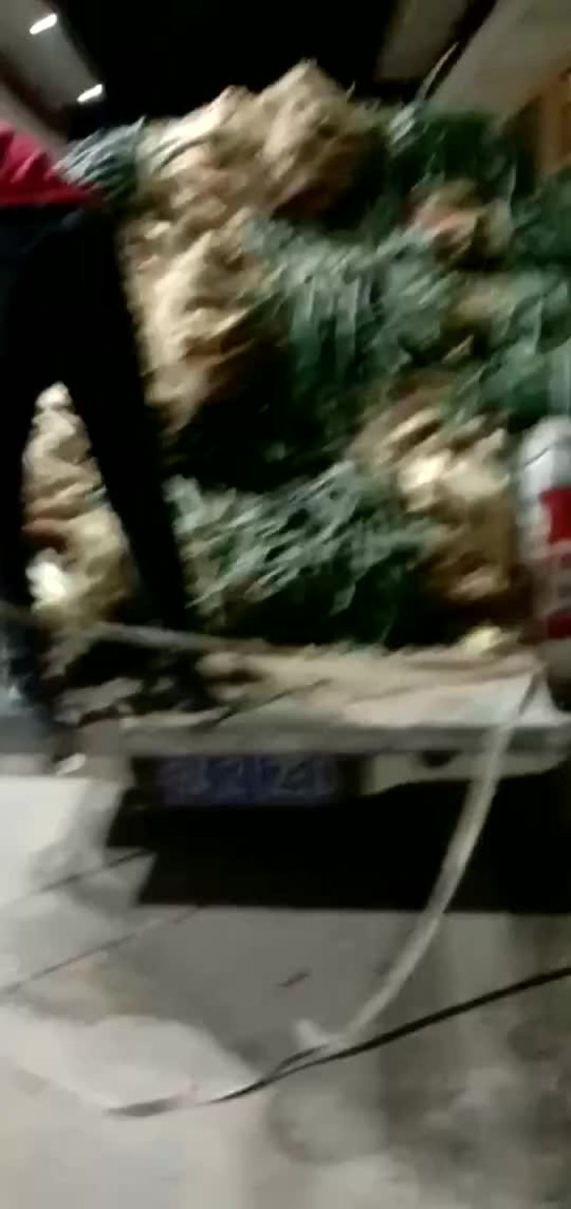宁夏鸡大腿红葱