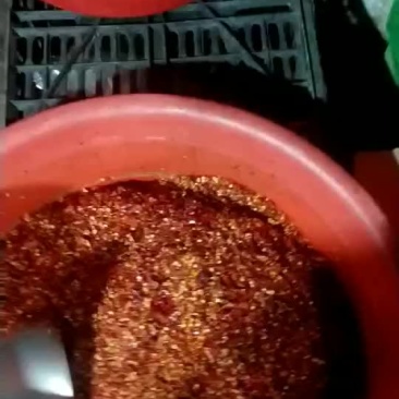 干辣椒