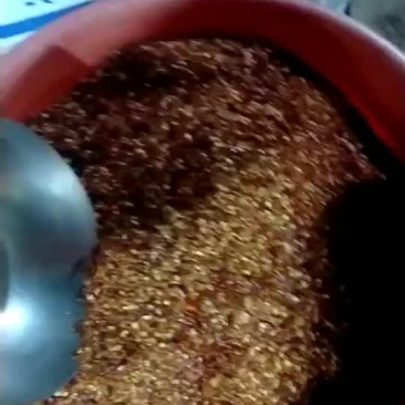 干辣椒