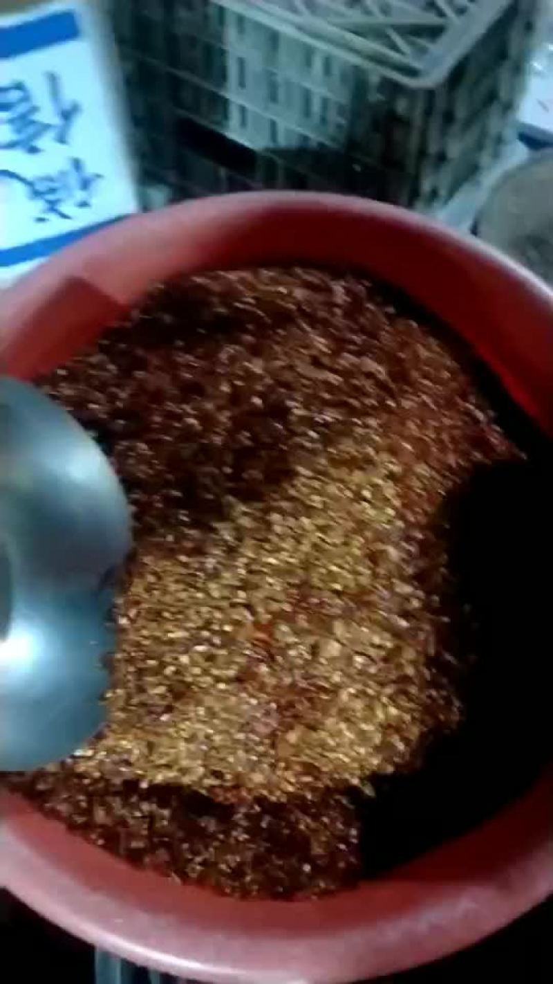 干辣椒