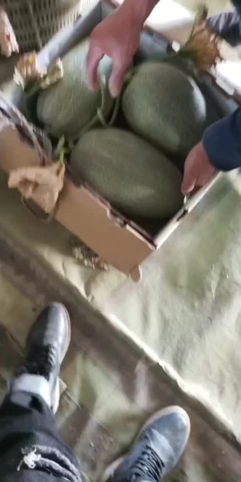 自种自销质量保证