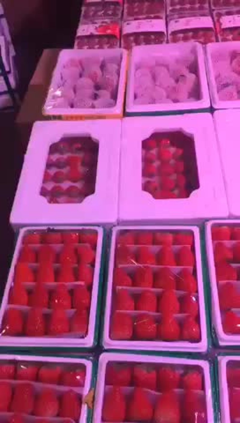 东港马家甸草莓