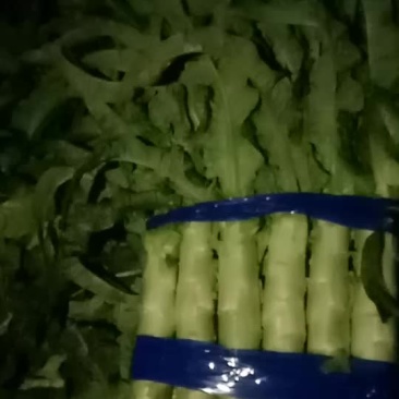 红莴苣