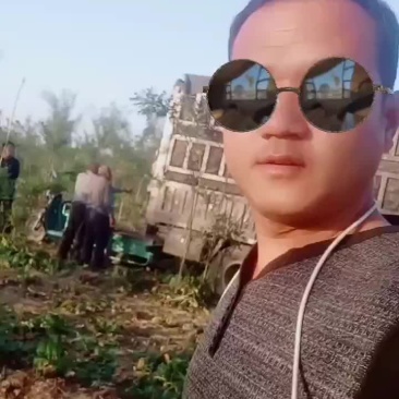 介菜
