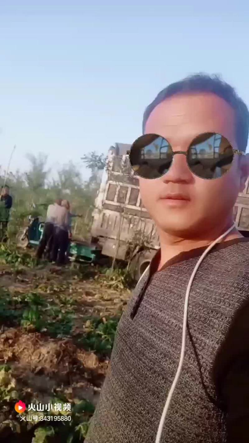 介菜