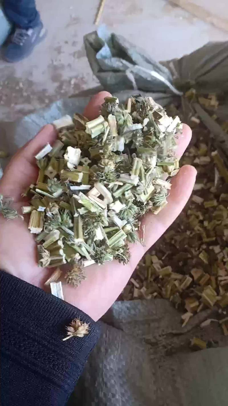 益母草粉