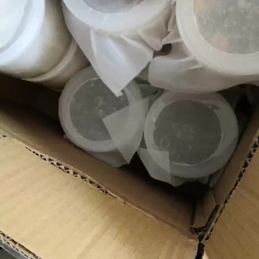 黑水虻卵