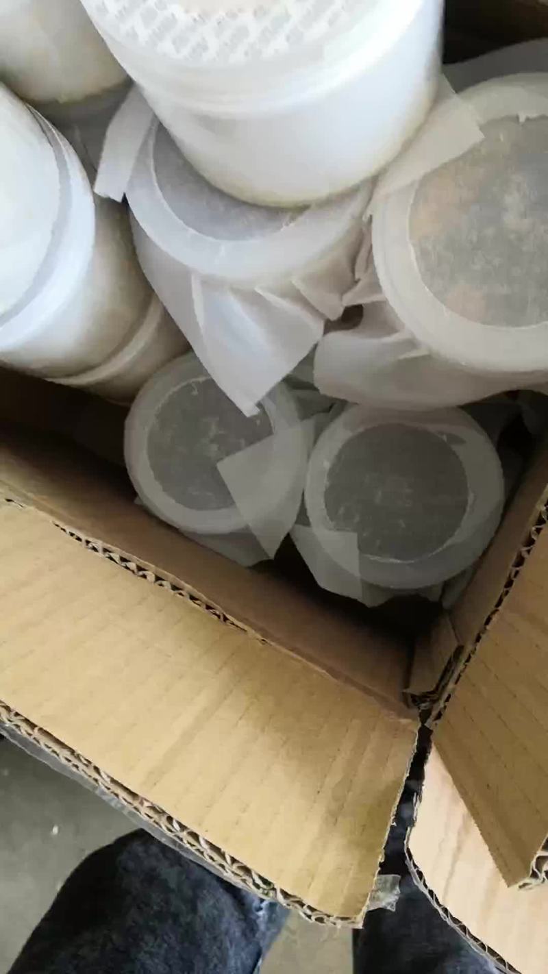 黑水虻卵