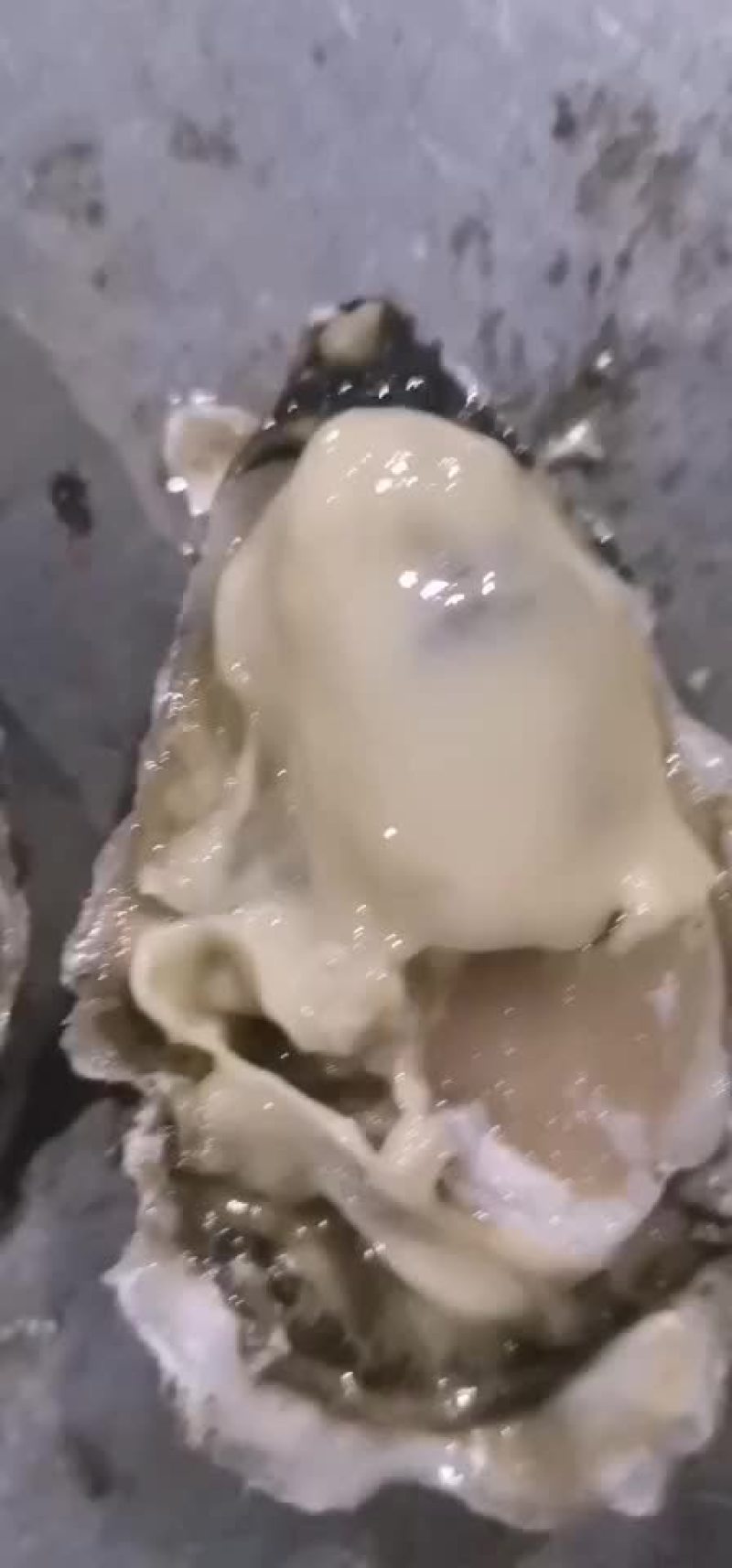 乳山生蚝