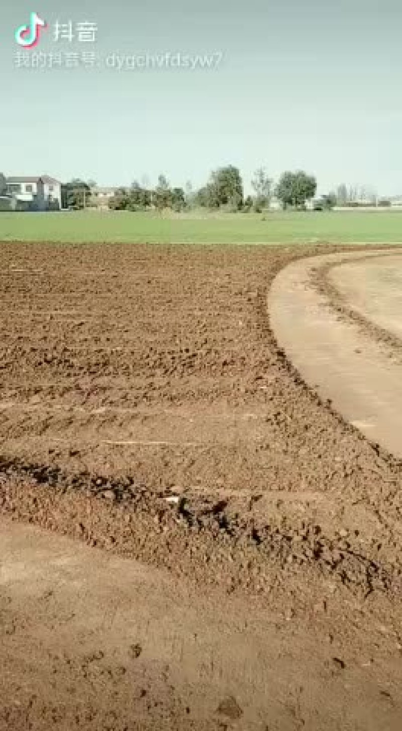 牛粪