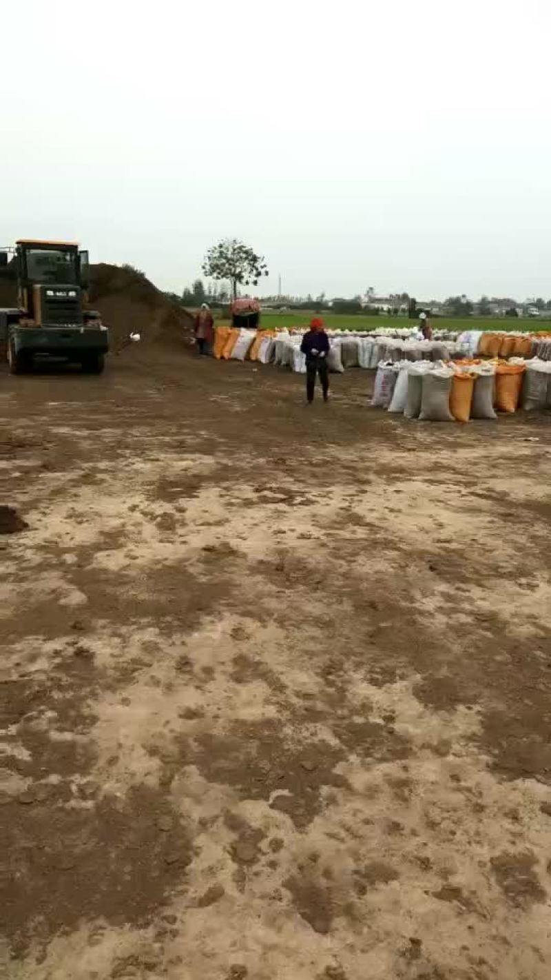 牛粪