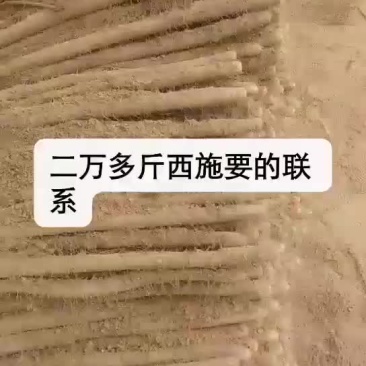 山药