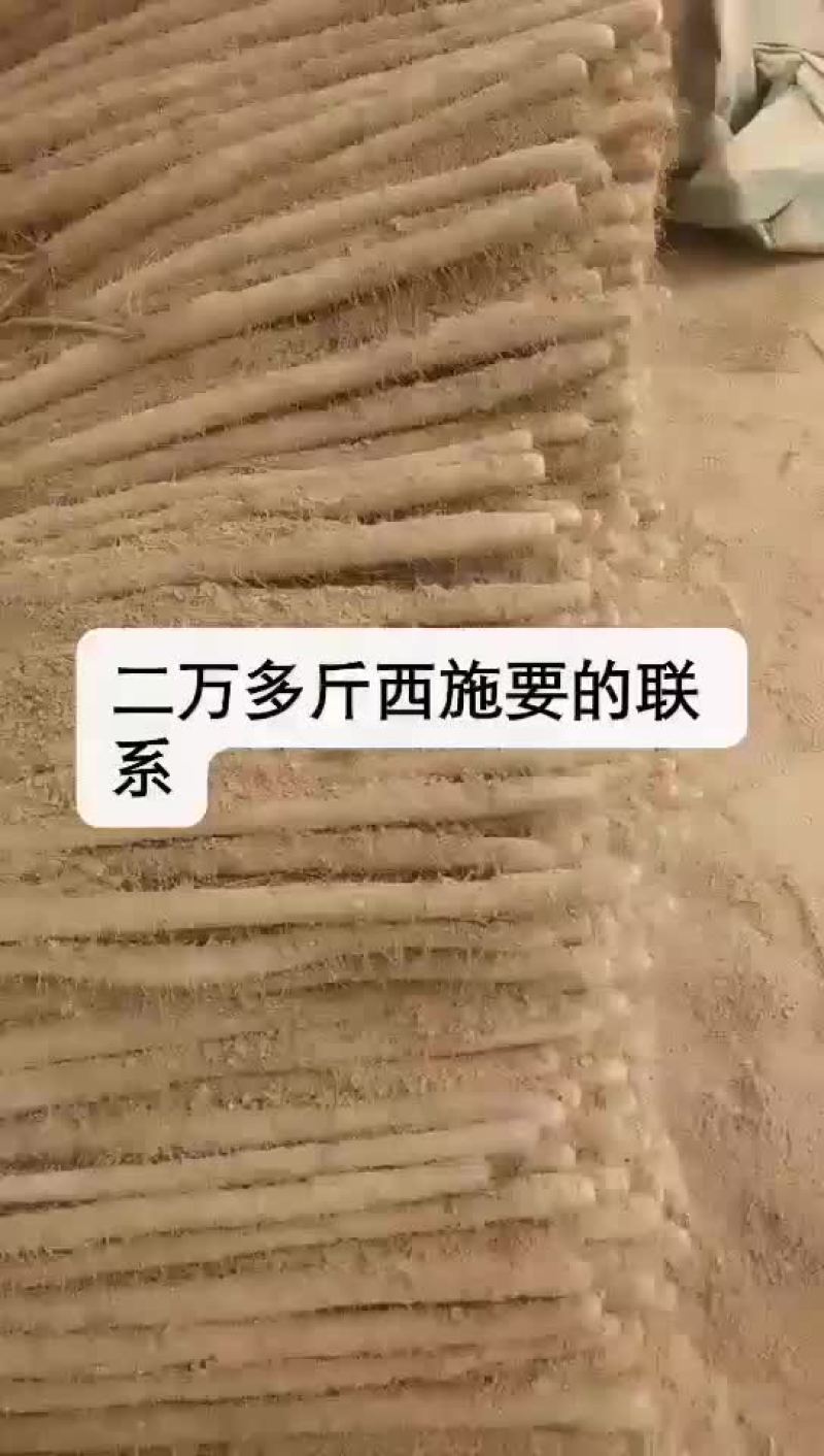 山药