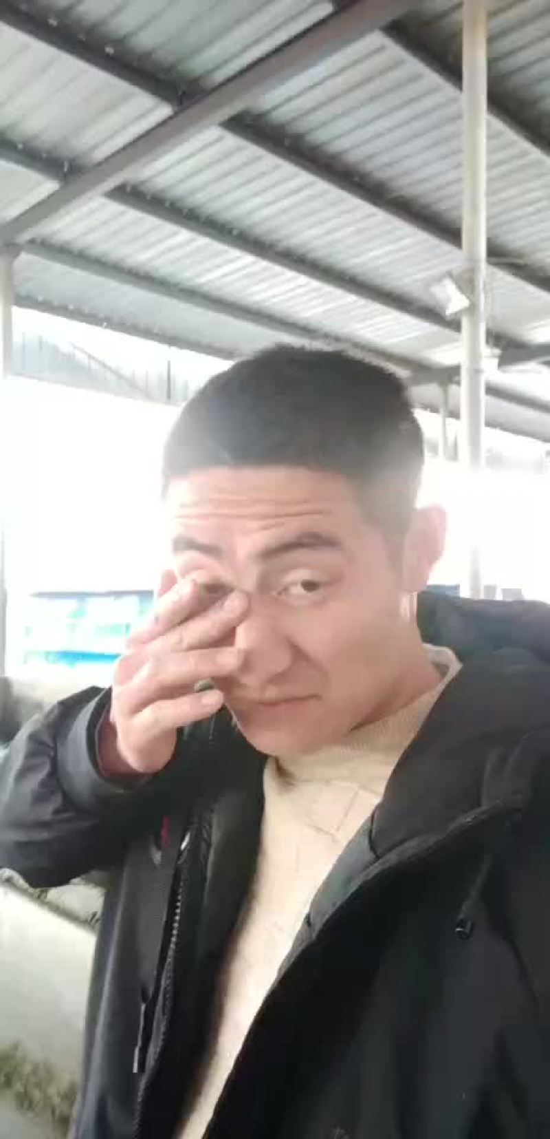 鱼苗