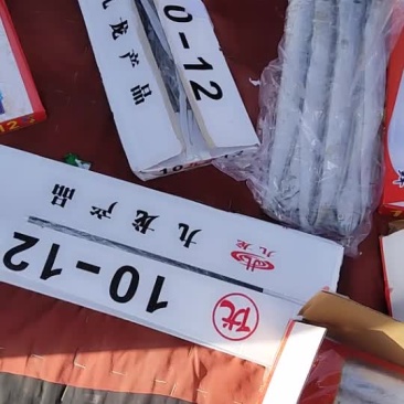 刀鱼