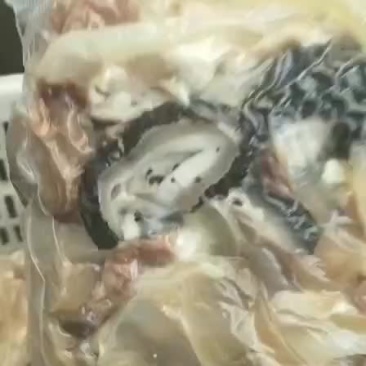 优质牛杂