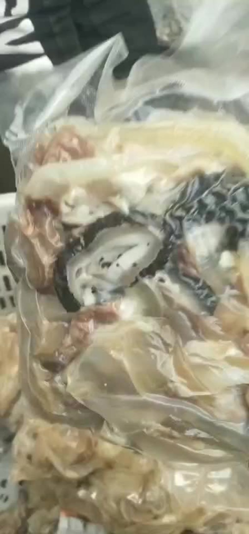 优质牛杂