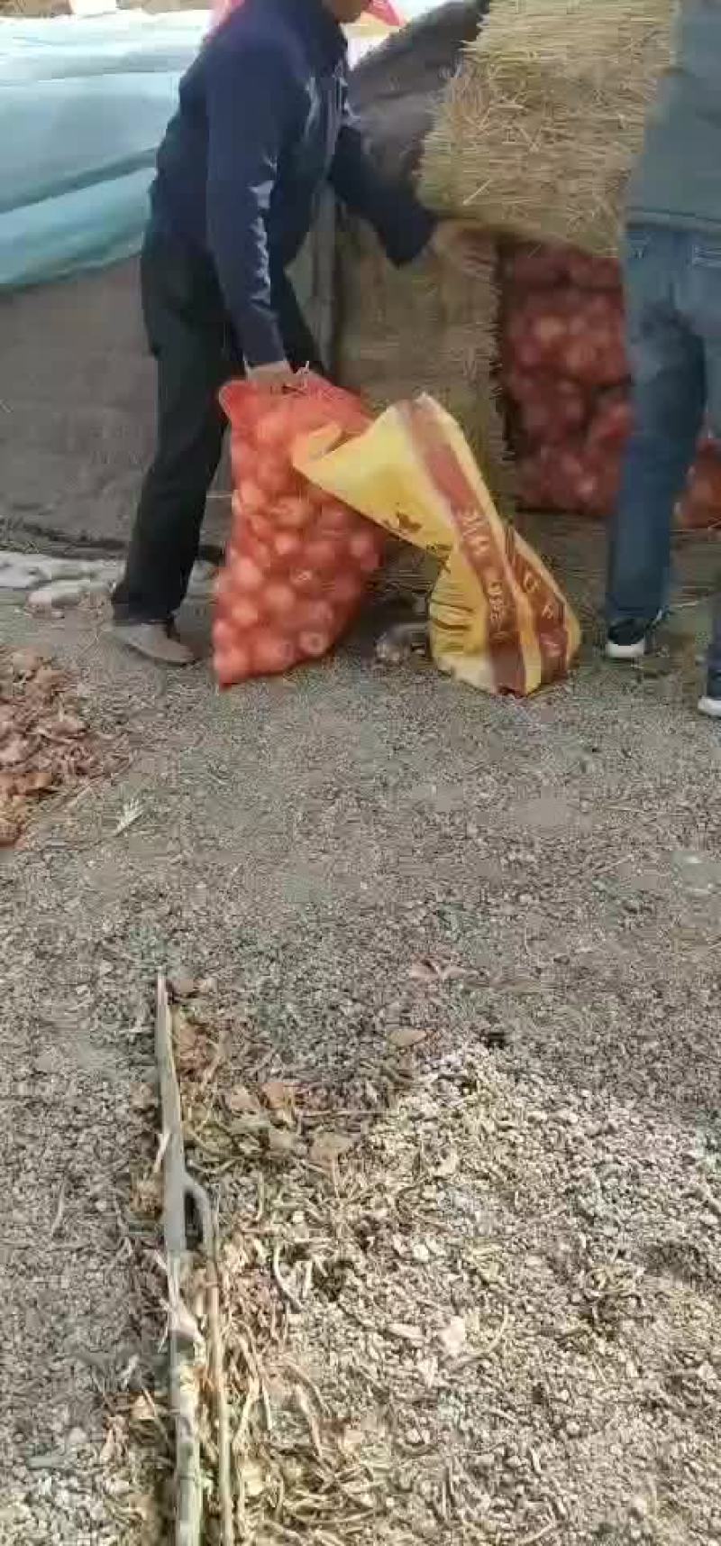 黄葱。